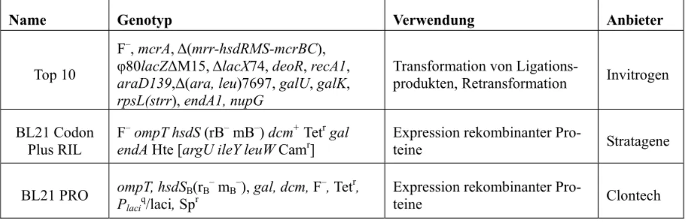 Tabelle 1: Eingesetzte E. coli-Stämme und deren Verwendung. Genotypen nach Angaben der Herstel- Herstel-lerfirmen