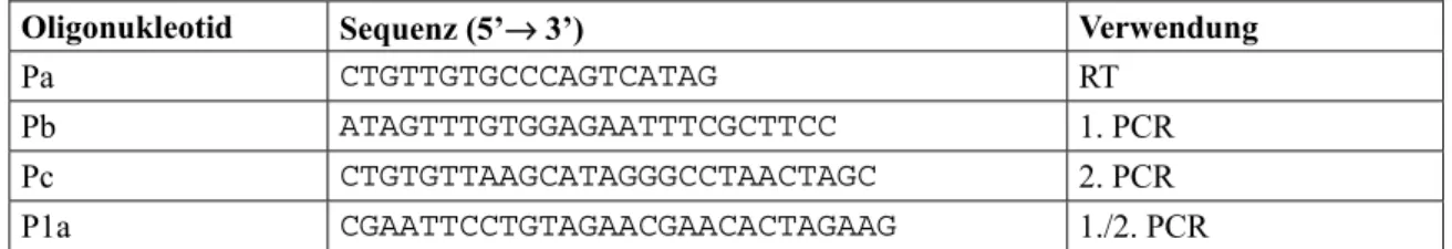 Tabelle 3: Zur 5’-RACE-Analyse in vivo synthetisierter Transkripte verwendete Oligonukleotide