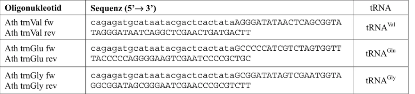 Tabelle 11: Zur Synthese von Arabidopsis tRNAs verwendete Oligonukleotide. Kleingeschriebene  Nukleotide dienten der Generierung eines T7-Promotors