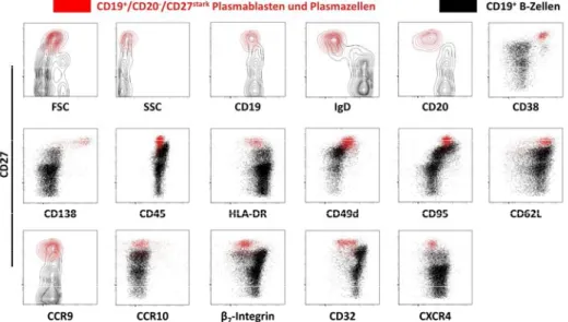 Abb. 17: Phänotypisierung von B-Zellen des peripheren Blutes 7 Tage nach  Tetanusimmunisierung