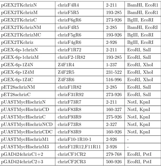 Table 2.5: list of constructs in this work.