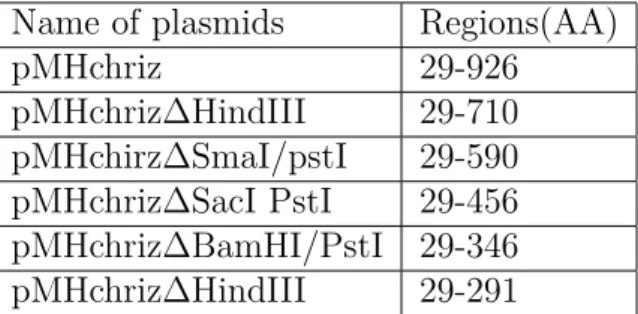 Table 2.6: List of constructs taken from Gortchakov AA.