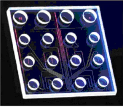 Figure 1:  Lab-on-a-chip  (Source: Agilent Technologies) 