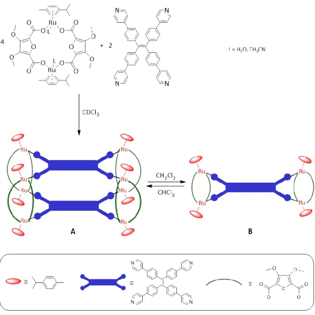 Abbildung 11:  Synthese  des  octanuklearen  Koordinationskäfigs  A  und  schematische  Darstellung  der  lösungsmittelinduzierten Umlagerung zur tetranuklearen Verbindung B