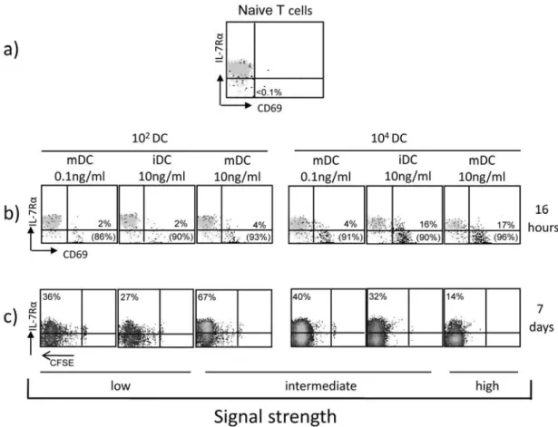 Figure 4.1 IL7Rα expression on primed T cells is regulated by the strength of antigenic stimulation