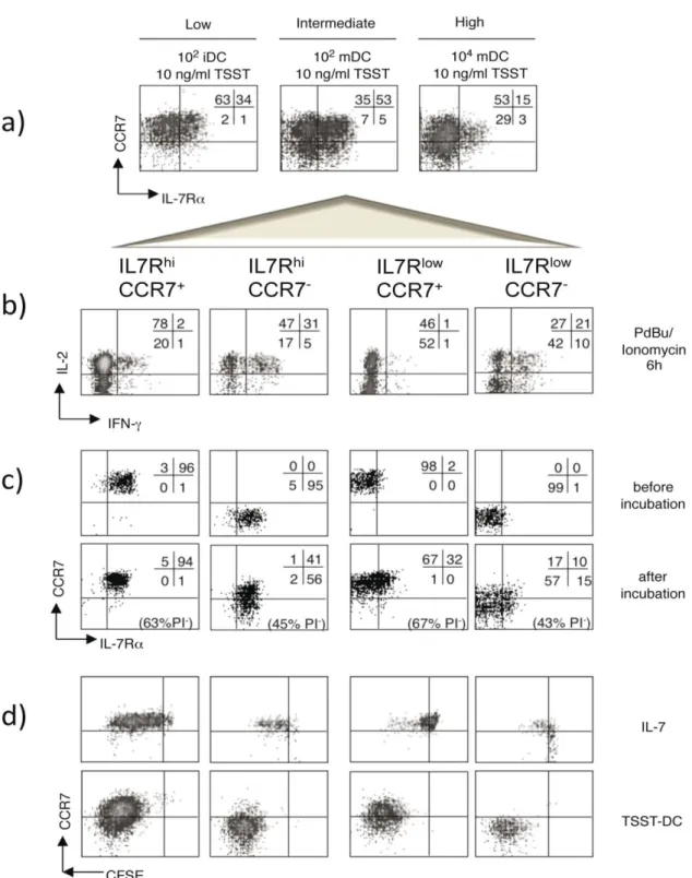 Figure 4.2 IL7Rα and CCR7 identify different subsets of primed CD4 +  T cells. Purified naive CD4 +  T  cells were labeled with CFSE and stimulated with low, intermediate, or high levels of stimulation