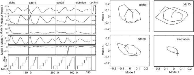 Figure 4.6: Five expression modes calculated from the cell cycle experiments. Left: