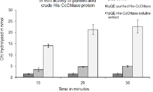 Fig. 13: Enzyme assays of His-CcChlase performed with crude soluble fractions of E. 