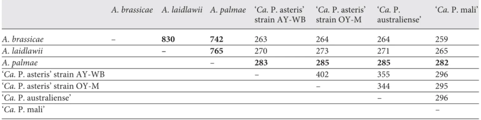 Table 2.   Estimation of potential orthologous proteins by pairwise reciprocal BLASTP of chromosomal proteins (values in bold indicate  high numbers obtained in acholeplasmas or between   A