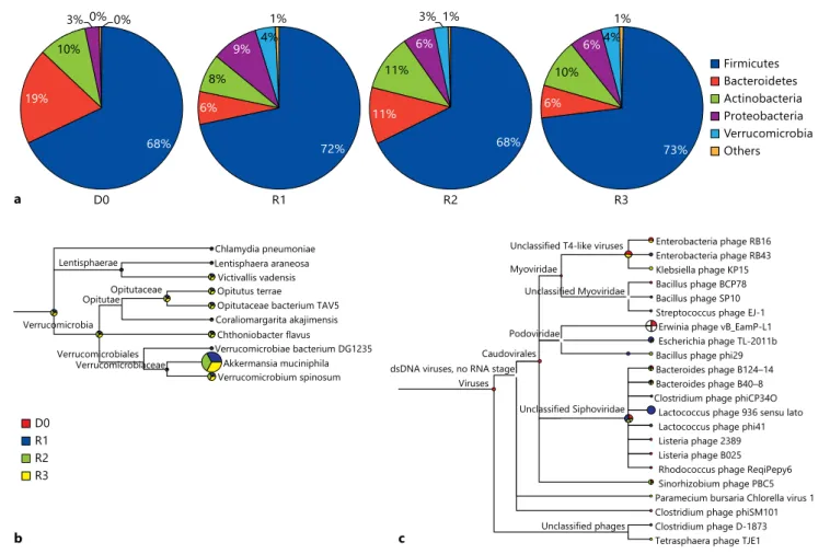 Fig. 1.   Taxonomical assignment of proteins identified in intestinal  microbiota with MEGAN