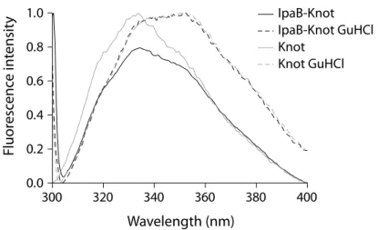 Figure 2.6: Fluorescence spectra of IpaB-Knot and Knot. Solid lines represent native conditions, dashed lines show spectra under the influence of 6 M guanidine hydrochloride.