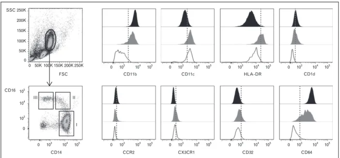 FIGURE 2. Subtyping of human peripheral blood monocytes. Human monocytes are conventionally divided into subsets according to their expression of CD14 and CD16
