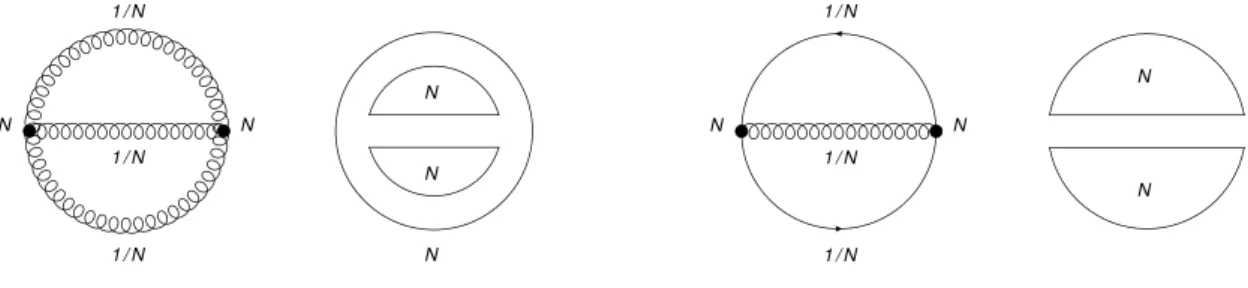 Figure 2.3.: Double line notation for a gluonic (left) and fermionic (right) excitation of the vacuum
