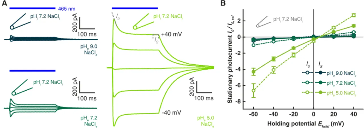 Figure 3.1.2 pH-effect of  CrChR2 E90K T159C .  (A) Representative photocurrent traces of  CrChR2 E90K T159C recorded in HEK293 cells