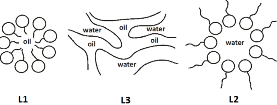 Figure  2.15:  Structure  of  microemulsions  as  a  function  of  water  to  oil  ratio 