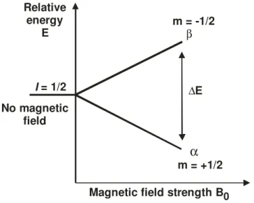 Figure  2.24:  Energy  profile  of  a  nuclei  with  spin  I  =  ½  applied  in  a  magnetic  field  of  magnitude B 0 