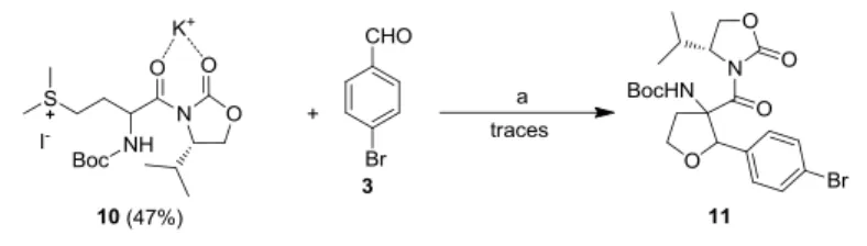 Figure 3. Chiral phase transfer catalyst 12-14. 