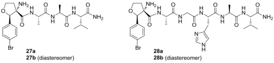 Figure 5. Synthesized peptide 27a,b and 28a,b in this study.  