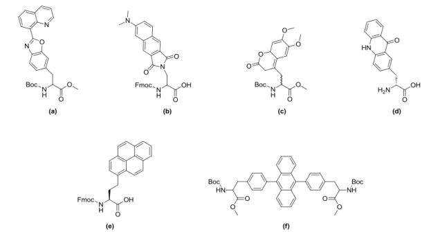 Figure 1. Structures of selected synthetic fluorescent amino acids reported in literature