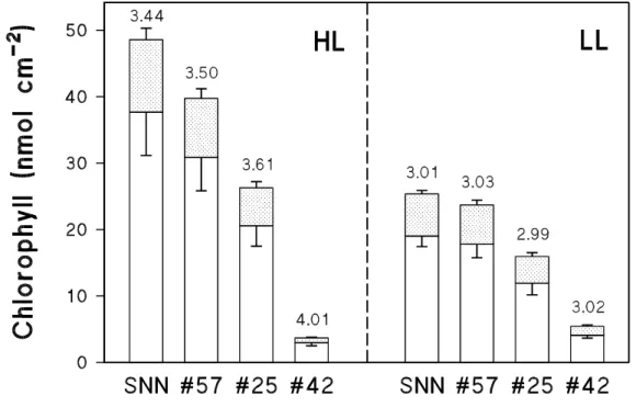 Abb. 6 Gehalt an Chlorophyll a (   ) und b (   ) (in nmol cm -2 ) in Blättern von unter HL (links) und LL (rechts) angezogenen Tabakpflanzen der SNN, #57, #25 und #42 ( x  +/  s, n    42)