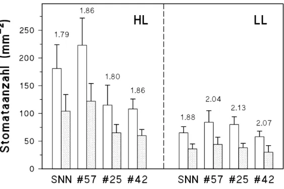 Abb. 13 Anzahl der Stomata pro mm 2  Blattunter- (   ) sowie -oberseite (   ) von Blättern von unter HL und LL angezogenen Tabakpflanzen der SNN, #57, #25 und #42 ( x  + s, n = 21 - 65)