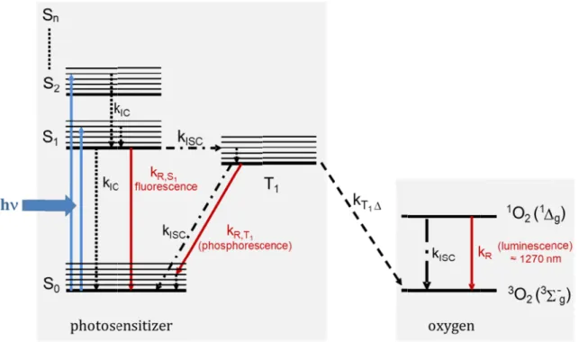 Fig. 1.1:  Jablonski diagram showing the process of the generation of singlet oxygen via direct energy transfe photosensitizer  to  oxygen;  energy  levels  of  the  photosensitizer,  PS  (left)  and  energy  levels  of  molecular  oxygen,  O
