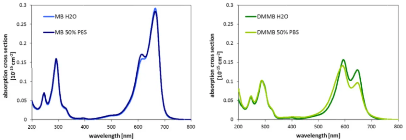 Fig. 3.5:   Change of the absorption spectra of MB (left) and DMMB (right), when dissolved in 50% of PBS photosensitizer 