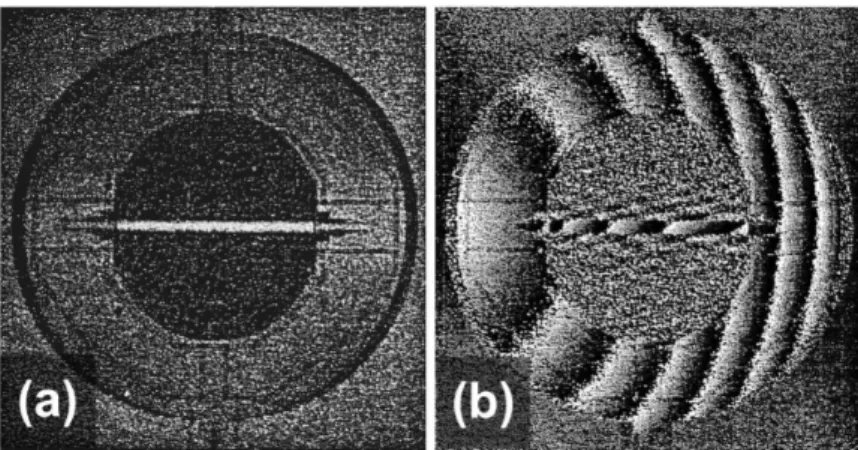 Abbildung 2.5: Digital-holographische Auswertung eines bewegten Einachsen-Scanner-Spiegels (Resonanzfrequenz 38 kHz) unter Nutzung einer kontinuierlich emittierenden Laserquelle (a) Amplitudenrekonstruktion (b) Phasenrekonstruktion  (entnom-men [41])