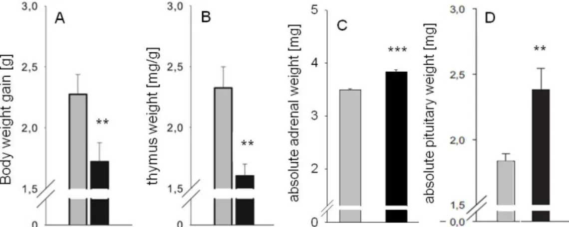 Figure  16:  19  days  of  CSC  result  in  a  decreased  body  weight  gain  (A),  decreased  relative  thymus  weight  (B),  and  increased  absolute  adrenal  weight  (C)  compared  with  SHC  mice
