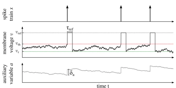 Figure 2.2.: Features of the two-dimensional integrate-and-fire neuron. From top to bottom: resulting spike train as a point process, membrane voltage and auxiliary dynamics that obey the subthreshold dynamics in Eq