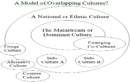 Figure 1.8. Presentation Model for Integrated Levels and Types of Culture 