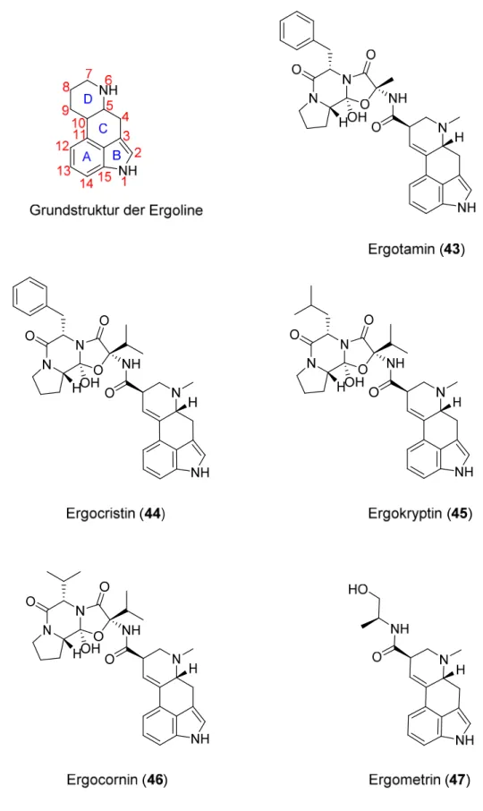 Abb. 1-12: Die Grundstruktur der Ergoline und Mutterkornalkaloide mit Wirksamkeit am 5-HT 2A -  Rezeptor
