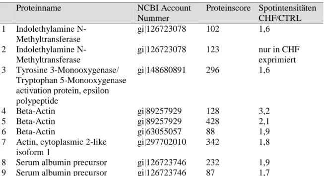 Tabelle 4.2a Pulmonales Proteom: In der manifesten Herzinsuffizienz signifikant (p&lt;0,05) vermehrt exprimierte Spots  in der 2D-Gelelektrophorese und massenspektrometrisch identifizierte Proteine 
