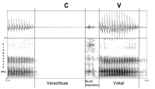 Abbildung 4.7: Beispiel für einen Silbenzyklus /ka/ mit akustischer Wel- Wel-lenform (oben) und Spektrogramm (unten) ohne artikulatorische  Stö-rung