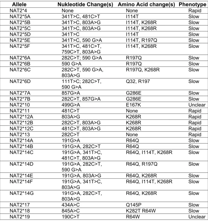 Tabelle 3:  Liste bekannter NAT2-Haplotypen (erstellt von dem für Nomenklatur und Registrie- Registrie-rung der Arylamin-N-Acetyltransferasen zuständige Komitee: Hein DW, Grant DM,  Sim E, 2000), mit Angaben zum vorhersagbaren Phänotyp (Fretland AJ, Leff M