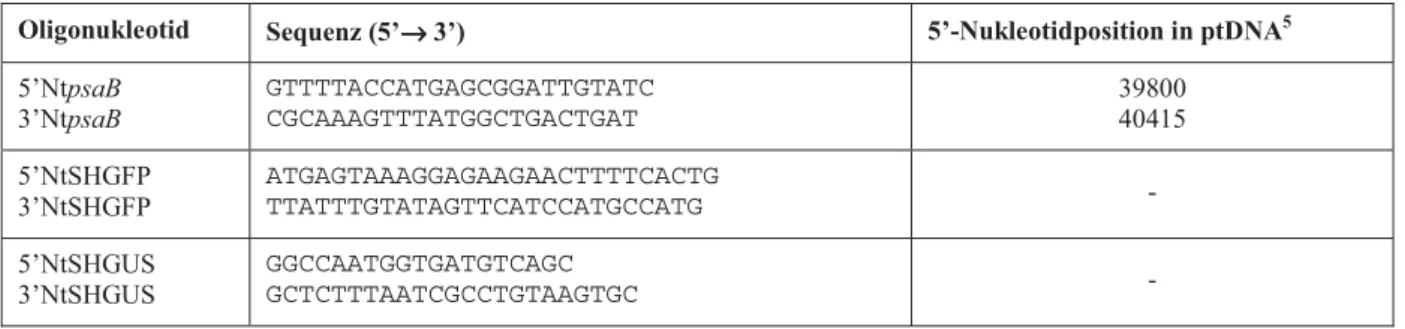 Tabelle 2.8: Primer für die Herstellung von DNA-Sonden 