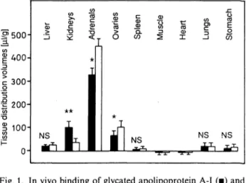 Fig. 2. Sephadex G-150 gel filtration chromatography of se- se-rum obtained 2 h after injection of glycated [ 125 I]apolipoprotein A-I (·) or [ 125 I]apolipoprotein A-I (o) into a donor rat