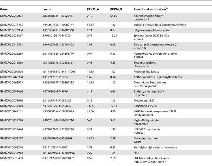 Table 3. Top20 a differentially expressed genes between B73 inbred lines of set A and B with functional annotation.