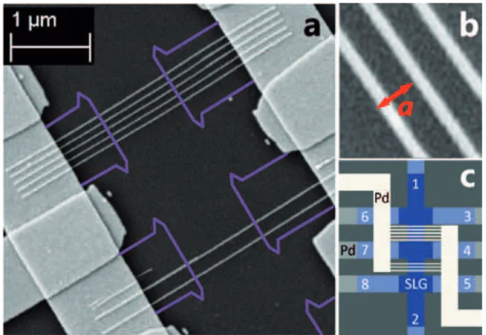 FIG. 1. Device geometry. SEM image (a) of device B with 5 and 2 top gate stripes. The graphene hallbar is buried under the dielectric, here visualized by the violet contour