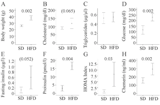 Figure 1. Metabolic parameters of C57BL/6 mice fed a standard chow (SD) or a high fat  diet (HFD) for 14 weeks