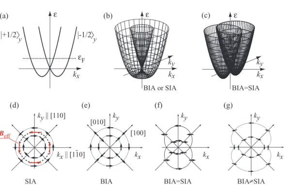 Figure 2 Panel (a) illustrates the SIA/BIA spin splitting due to k x σ y terms in the effective Hamiltonian, here | ± 1/2  y label the eigenstates with fixed y spin components