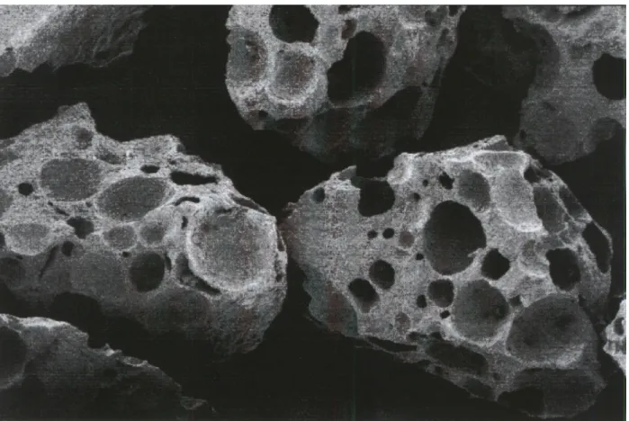 Abbildung 5: Tricalciumphosphat in Granulatform (Mathys Medical Ltd) 