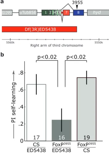 Figure 4. Deficiency ED5438 uncovers the FoxP 3955 self-learning phenotype. a, Genomic region of dFoxP gene