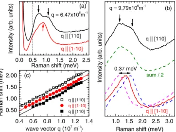 FIG. 4. (Color online) (a) Comparison of depolarized spectra at fixed wave-vector transfer q = 6.47 × 10 6 m − 1 for two different  in-plane directions