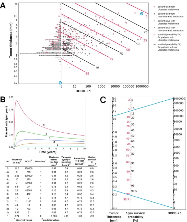 Figure 5. Individualized risk estimation over time. (A) The predicted 5-y survival by DCCD, tumor thickness, and ulceration for all 1,027 patients