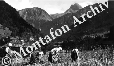 Abb. 4: Getreideernte in Gaschurn um 1940  (Sammlung Friedrich Juen/Montafon Archiv)