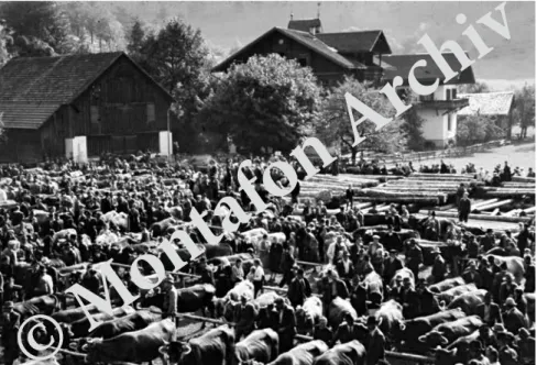 Abb. 11: Schrunser Viehmarkt in den 1940er Jahren 