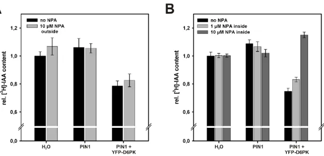 Figure 2-6 Effect of NPA on PIN1 mediated IAA efflux from  X. laevis oocytes.  (A) Rel