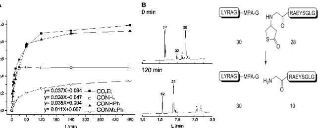 Figure 3.6: A) time vs. yield and initial rate constants of ligation between thioester 3.052 and auxiliary  peptides  3.042,  3.044,  3.046,  3.048;  B)  UPLC  analysis  of  reaction  between  thioester  3.052  and  thiolactone  peptide  3.050  at  0  hr  