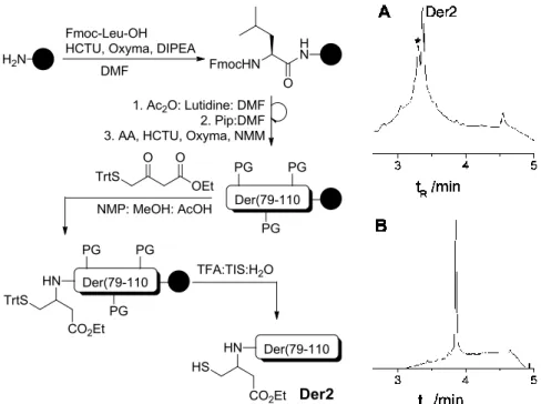 Figure 3.21: UPLC analysis of crude (A) and pure (B) Aux-Der(78-110) Der2. Peak * corresponds to  acetylation of amine